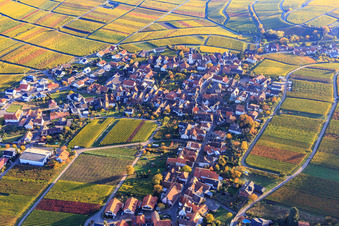 Vue aérienne de Village viticole au bord du Haardt aux couleurs d'automne du nord à Weyher in der Pfalz dans le département Rhénanie-Palatinat, Allemagne