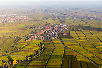Vue aérienne de Vignobles aux couleurs d'automne à Rhodt unter Rietburg dans le département Rhénanie-Palatinat, Allemagne