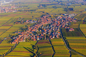 Vue aérienne de Village viticole entre les vignes aux couleurs d'automne de l'ouest à Rhodt unter Rietburg dans le département Rhénanie-Palatinat, Allemagne
