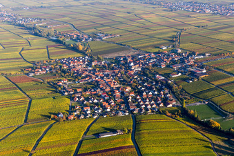 Vue aérienne de Vignobles aux couleurs d'automne à Hainfeld dans le département Rhénanie-Palatinat, Allemagne