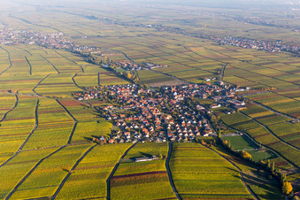 Vue aérienne de Vignobles aux couleurs d'automne à Hainfeld dans le département Rhénanie-Palatinat, Allemagne