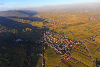 Vue aérienne de Village viticole au bord du Haardt aux couleurs d'automne du sud à Gleisweiler dans le département Rhénanie-Palatinat, Allemagne