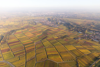 Quartier Godramstein in Landau in der Pfalz dans le département Rhénanie-Palatinat, Allemagne depuis l'avion