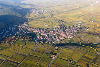 Vue aérienne de Frankweiler dans le département Rhénanie-Palatinat, Allemagne