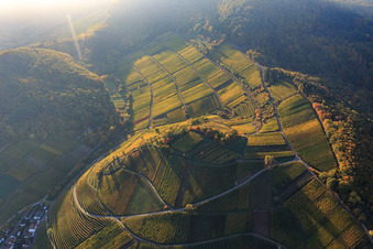 Vue aérienne de Vignes colorées et lumineuses d'automne des vignobles de la localité de Kastanienbusch à Birkweiler dans le département Rhénanie-Palatinat, Allemagne