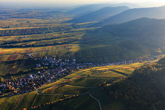 Vue aérienne de Village viticole au bord du Haardt aux couleurs d'automne du nord à Ranschbach dans le département Rhénanie-Palatinat, Allemagne