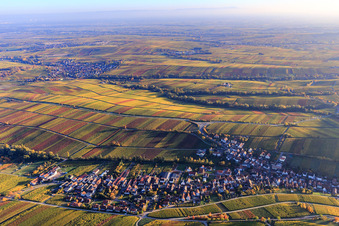 Vue aérienne de Lumière d'automne, vignes colorées des vignobles d'Ilbesheim à Ranschbach dans le département Rhénanie-Palatinat, Allemagne