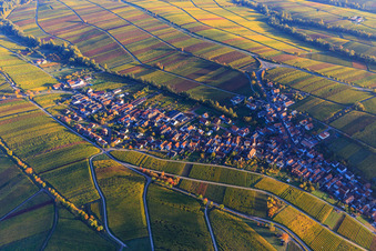 Vue aérienne de Village viticole au bord du Haardt aux couleurs d'automne du nord à Ranschbach dans le département Rhénanie-Palatinat, Allemagne