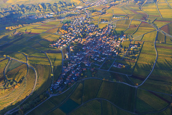 Vue aérienne de Village viticole au bord du Haardt aux couleurs d'automne vues de l'ouest à Birkweiler dans le département Rhénanie-Palatinat, Allemagne