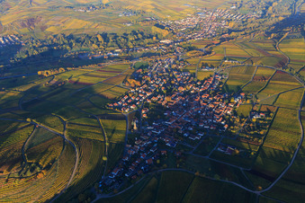 Vue aérienne de Village viticole au bord du Haardt aux couleurs d'automne vues de l'ouest à Birkweiler dans le département Rhénanie-Palatinat, Allemagne