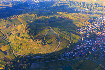 Vue aérienne de Vignes colorées et lumineuses d'automne des vignobles de la localité de Kastanienbusch à Birkweiler dans le département Rhénanie-Palatinat, Allemagne