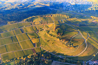 Photographie aérienne de Vignes colorées et lumineuses d'automne des vignobles de la localité de Kastanienbusch à Birkweiler dans le département Rhénanie-Palatinat, Allemagne
