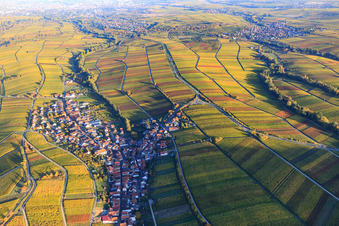 Vue aérienne de Village viticole au bord du Haardt aux couleurs d'automne vues de l'ouest à Ranschbach dans le département Rhénanie-Palatinat, Allemagne