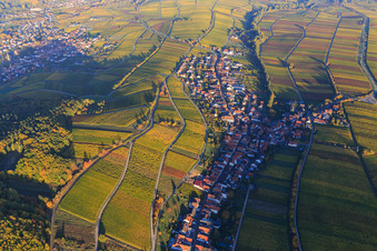 Vue aérienne de Village viticole au bord du Haardt aux couleurs d'automne vues de l'ouest à Ranschbach dans le département Rhénanie-Palatinat, Allemagne