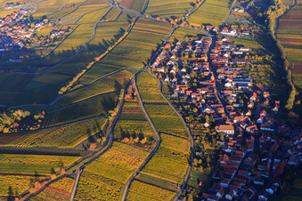 Vue aérienne de Vignes colorées et lumineuses d'automne des vignobles de Mandelhein à Ranschbach dans le département Rhénanie-Palatinat, Allemagne