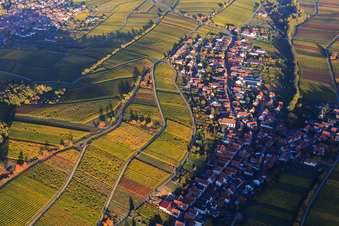 Vue aérienne de Vignes colorées et lumineuses d'automne des vignobles de Mandelhein à Ranschbach dans le département Rhénanie-Palatinat, Allemagne