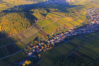 Vue aérienne de Vignes colorées et lumineuses d'automne des vignobles sur le versant sud du Haardtrand à Ranschbach dans le département Rhénanie-Palatinat, Allemagne