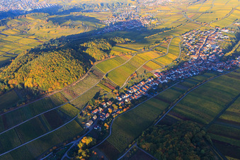 Vue aérienne de Vignes colorées et lumineuses d'automne des vignobles sur le versant sud du Haardtrand à Ranschbach dans le département Rhénanie-Palatinat, Allemagne