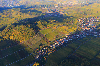 Photographie aérienne de Vignes colorées et lumineuses d'automne des vignobles sur le versant sud du Haardtrand à Ranschbach dans le département Rhénanie-Palatinat, Allemagne