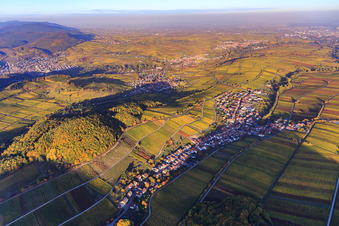 Vue oblique de Vignes colorées et lumineuses d'automne des vignobles sur le versant sud du Haardtrand à Ranschbach dans le département Rhénanie-Palatinat, Allemagne
