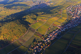 Vignes colorées et lumineuses d'automne des vignobles sur le versant sud du Haardtrand à Ranschbach dans le département Rhénanie-Palatinat, Allemagne d'en haut