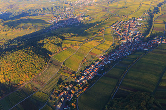 Vignes colorées et lumineuses d'automne des vignobles sur le versant sud du Haardtrand à Ranschbach dans le département Rhénanie-Palatinat, Allemagne hors des airs