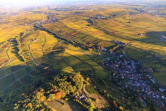 Vue aérienne de Hôtel Leinsweiler Hof entre vignobles automnaux et colorés à Leinsweiler dans le département Rhénanie-Palatinat, Allemagne