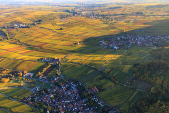 Vue aérienne de Hôtel Leinsweiler Hof entre vignobles automnaux et colorés à Leinsweiler dans le département Rhénanie-Palatinat, Allemagne