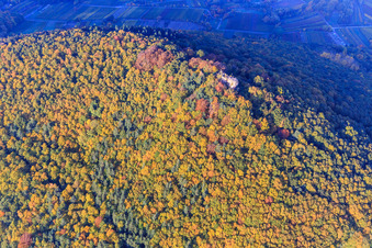 Vue aérienne de Ruines du château de Neukastel entre les feuilles d'automne à Leinsweiler dans le département Rhénanie-Palatinat, Allemagne