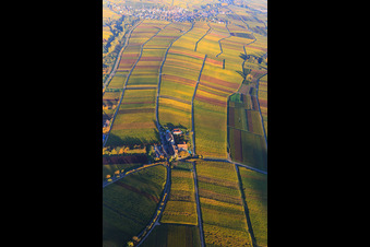 Hôtel Leinsweiler Hof entre vignobles automnaux et colorés à Leinsweiler dans le département Rhénanie-Palatinat, Allemagne d'en haut