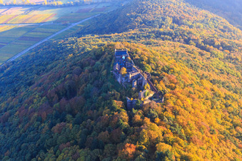 Vue aérienne de Ruines du château de Madenburg dans la forêt d'automne à la lumière du soir à Eschbach dans le département Rhénanie-Palatinat, Allemagne