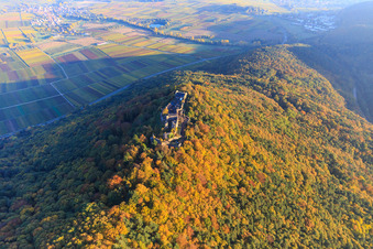 Photographie aérienne de Ruines du château de Madenburg dans la forêt d'automne à la lumière du soir à Eschbach dans le département Rhénanie-Palatinat, Allemagne