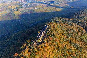 Vue oblique de Ruines du château de Madenburg dans la forêt d'automne à la lumière du soir à Eschbach dans le département Rhénanie-Palatinat, Allemagne