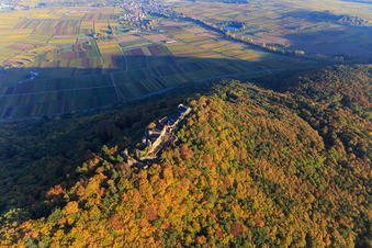 Ruines du château de Madenburg dans la forêt d'automne à la lumière du soir à Eschbach dans le département Rhénanie-Palatinat, Allemagne d'en haut