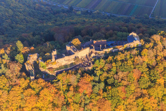 Ruines du château de Madenburg dans la forêt d'automne à la lumière du soir à Eschbach dans le département Rhénanie-Palatinat, Allemagne vue d'en haut
