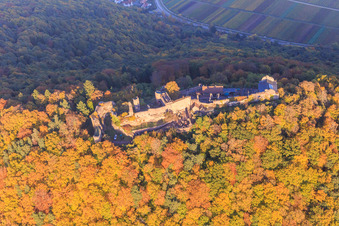 Ruines du château de Madenburg dans la forêt d'automne à la lumière du soir à Eschbach dans le département Rhénanie-Palatinat, Allemagne depuis l'avion