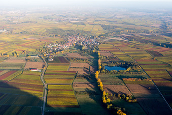 Vue aérienne de Lumière du soir d'automne au bord des champs à Göcklingen dans le département Rhénanie-Palatinat, Allemagne
