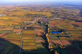 Vue aérienne de Vue du village derrière la réserve naturelle Biotopweiher Alte Tongrube à Göcklingen dans le département Rhénanie-Palatinat, Allemagne