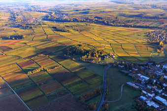 Vue aérienne de Keschdebuckel avec le cimetière de l'hôpital et le mémorial du Palatinat pour les victimes de la psychiatrie nazie à Göcklingen dans le département Rhénanie-Palatinat, Allemagne