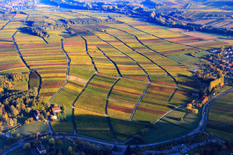 Vue aérienne de Lumière d'automne, vignes colorées des vignobles de Heuchelheim à Klingenmünster dans le département Rhénanie-Palatinat, Allemagne