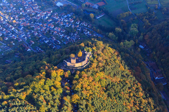 Photographie aérienne de Ruines du château de Landeck dans la forêt d'automne à la lumière du soir à Klingenmünster dans le département Rhénanie-Palatinat, Allemagne
