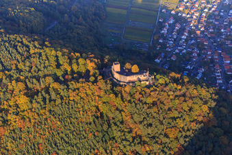Ruines du château de Landeck dans la forêt d'automne à la lumière du soir à Klingenmünster dans le département Rhénanie-Palatinat, Allemagne hors des airs