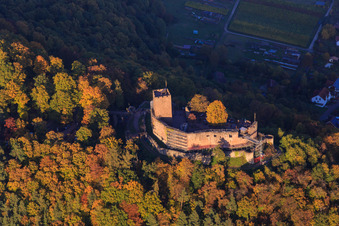 Ruines du château de Landeck dans la forêt d'automne à la lumière du soir à Klingenmünster dans le département Rhénanie-Palatinat, Allemagne vue d'en haut