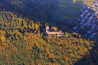 Ruines du château de Landeck dans la forêt d'automne à la lumière du soir à Klingenmünster dans le département Rhénanie-Palatinat, Allemagne depuis l'avion