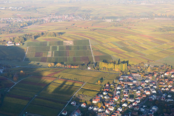 Vue aérienne de Klingenmünster dans le département Rhénanie-Palatinat, Allemagne