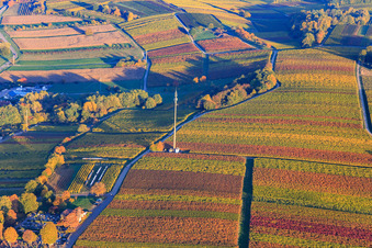 Vue aérienne de Tour de téléphonie mobile dans les vignes à Klingenmünster dans le département Rhénanie-Palatinat, Allemagne