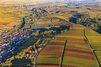 Vue aérienne de Lumière d'automne colorée des vignes des vignobles de Klingen à Klingenmünster dans le département Rhénanie-Palatinat, Allemagne