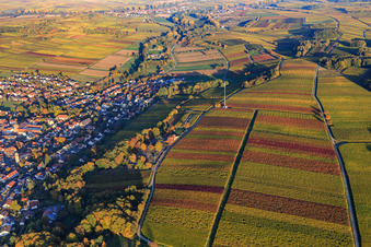 Vue aérienne de Lumière d'automne colorée des vignes des vignobles de Klingen à Klingenmünster dans le département Rhénanie-Palatinat, Allemagne