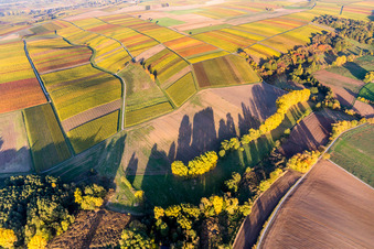 Vue aérienne de Paysage viticole dans les feuilles d'automne colorées des régions viticoles à le quartier Klingen in Heuchelheim-Klingen dans le département Rhénanie-Palatinat, Allemagne