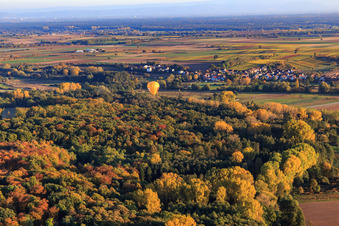 Vue aérienne de Montgolfière PFALZGAS au-dessus du Horbachtal à Barbelroth dans le département Rhénanie-Palatinat, Allemagne